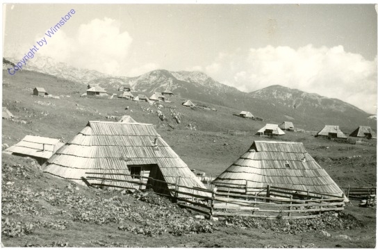 Steiner Alpen, Velika Planina