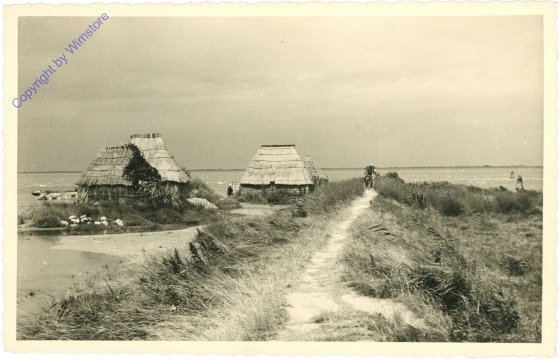 ak210384 Häuser in den Dünen