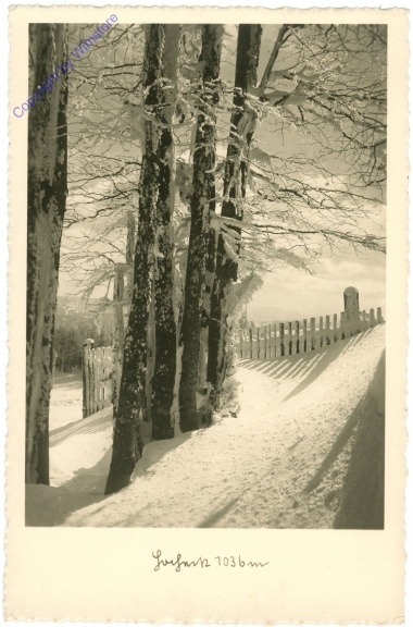 Triestingtal, Hocheck