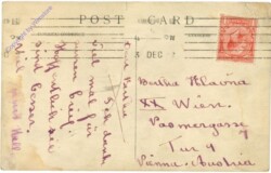 Dame hält Ausschau