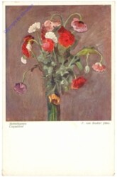 ak210818 Von Radler, F.: Mohnblumen