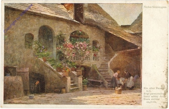 ak210840 Simony, Stefan: Ein alter Bauernhof
