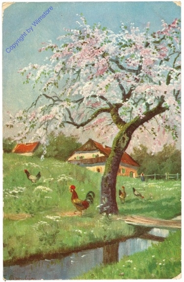 Hühnerschar auf der Wiese