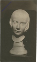 ak210981 Kopf