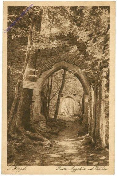 Aggstein a.d. Donau, Ruine Aggstein