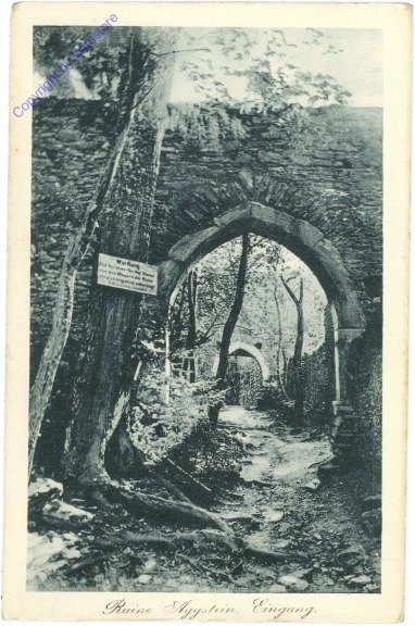 Aggstein a.d. Donau, Ruine Aggstein, Eingang
