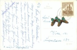 Altenmarkt a.d. Triesting, Ortsansicht