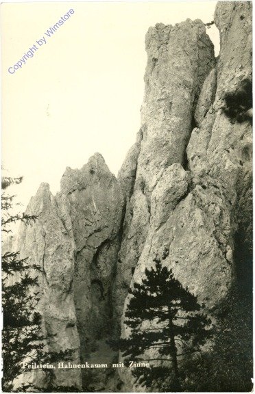 Altenmarkt a.d. Triesting, Peilstein, Hahnenkamm mit Zinne