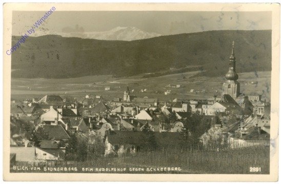 Baden, Blick vom Badnerberg beim Rudolfshof gegen Schneeberg