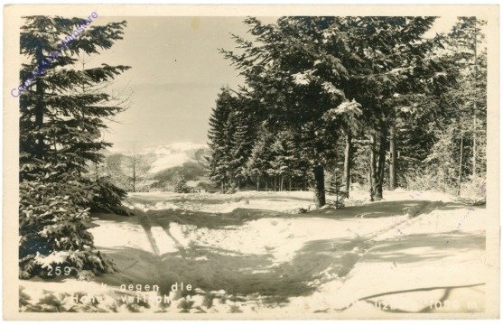 Breitenstein, Blick gegen die Hohe Veitsch
