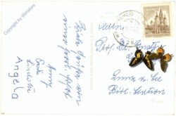 Maria Langegg, Dunkelsteinerwald