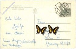 ak211155a Feichtenbach, Urlauberheim