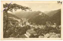 Gutenstein, Ortsansicht