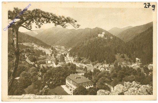 ak211210 Gutenstein, Ortsansicht