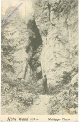 Hohe Wand, Waldegger Klause