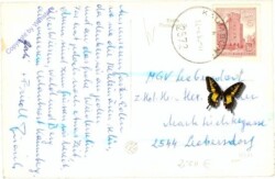 ak211276a Kaumberg, Ortsansicht