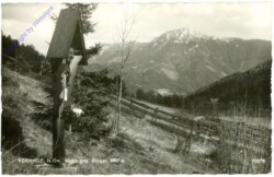 ak211279 Kernhof, Motiv gegen Gippel
