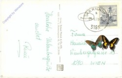 ak211279a Kernhof, Motiv gegen Gippel