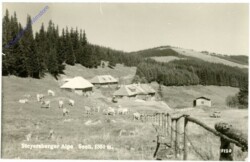 Kirchberg am Wechsel, Steyersberger Alpe