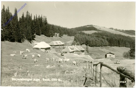 Kirchberg am Wechsel, Steyersberger Alpe