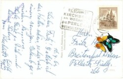 Kirchberg am Wechsel, Steyersberger Alpe