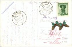 Kleinzell, Evang. Anstalt Solbad Salzerbad