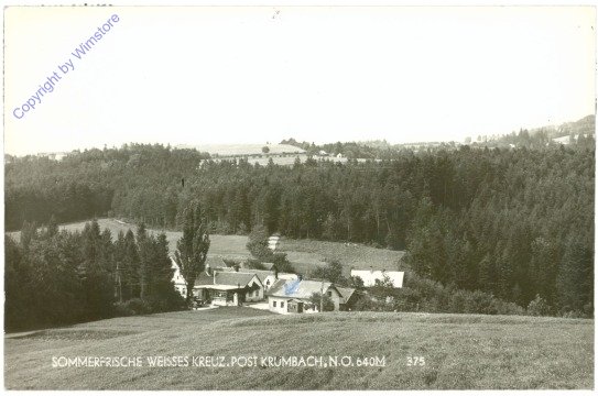 ak211337 Krumbach, Sommerfrische Weißes Kreuz