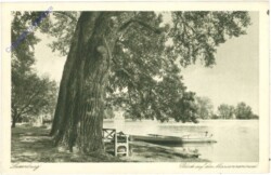 ak211345 Laxenburg, Blick auf die Marianneinsel