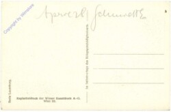 ak211345a Laxenburg, Blick auf die Marianneinsel