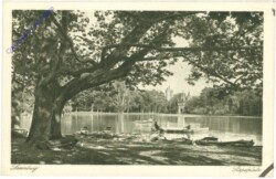 Laxenburg, Stapelplatz