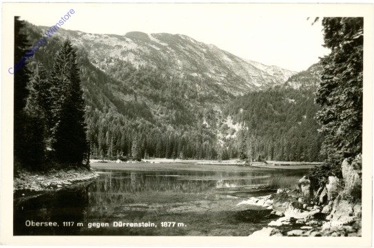 Lunz am See, Obersee, gegen Dürrenstein