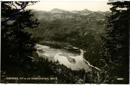 Lunz am See, Obersee mit Dürrenstein