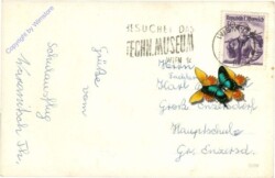 Maria Schutz am Semmering, Ansicht
