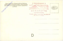 Mödling, Seegrotte Hinterbrühl, Großer See mit Motorbootsfahrt