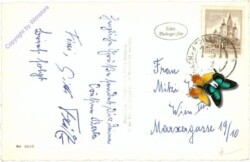 Neuhaus, Multiansicht