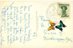 ak211589a Ötscher, Gipfel