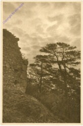 Plankenstein, Morgen bei der Ruine