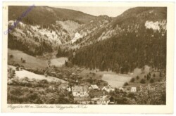 Prigglitz, Ortsansicht