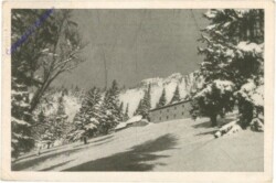 Puchberg, Baumgartnerhaus