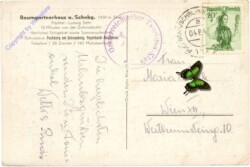 Puchberg, Baumgartnerhaus