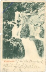 Puchenstuben, Trefflingfall