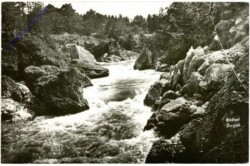 Purgstall, Erlafmotiv