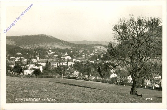 Purkersdorf, Ortsansicht