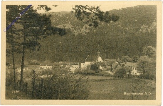 ak211661 Raisenmarkt, Ortsansicht