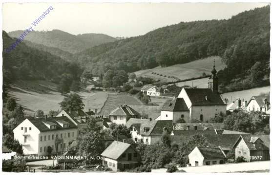ak211662 Raisenmarkt, Ortsansicht