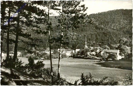 ak211664 Raisenmarkt, Ortsansicht
