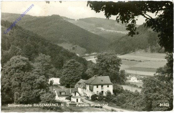 ak211666 Raisenmarkt, Ortsansicht