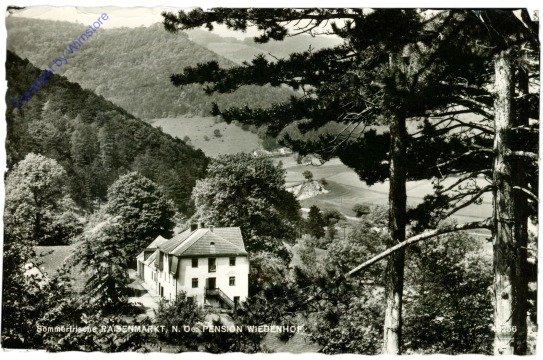 ak211668 Raisenmarkt, Pension Wiedenhof