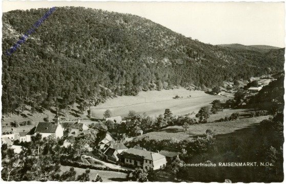 ak211669 Raisenmarkt, Ortsansicht