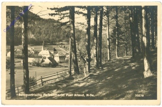 ak211674 Raisenmarkt, Ortsansicht